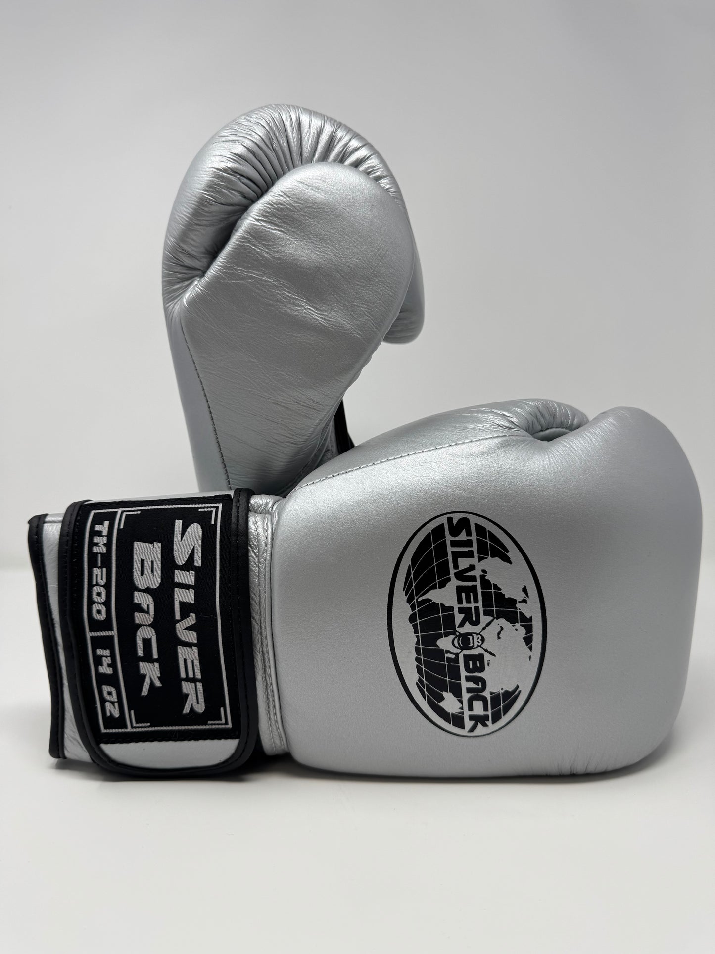 GANTS ET CASQUE DE BOXE EN CUIR - Argenté