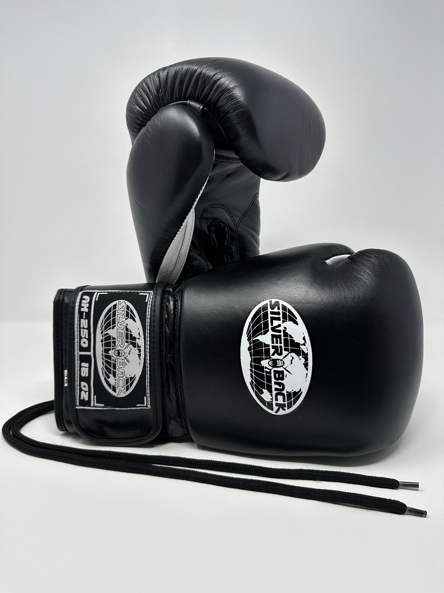GANTS DE SPARRING - AM-250 - Noir - 16 oz